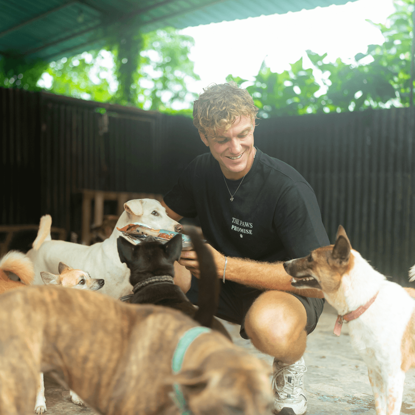 Founder of The Paws Promise with shelter dogs, supporting meals for dogs in need