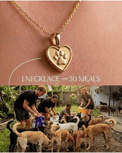 The Promise Necklace™